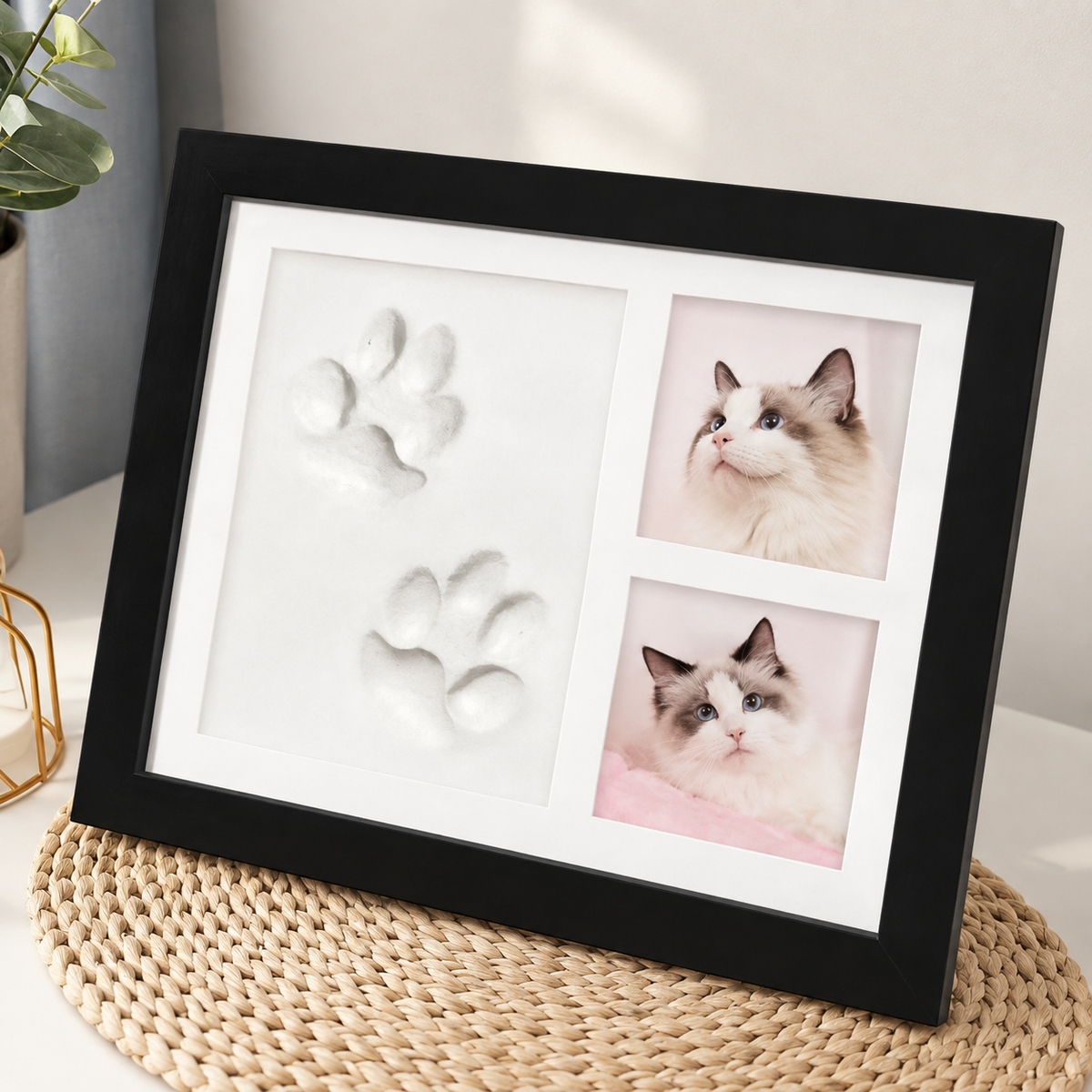 Empreinte Éternelle – Kit souvenir empreinte de patte en argile et cadre photo pour chien ou chat